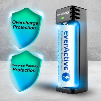 everActive LC-100C Smart Lithium USB-C baterijų įkroviklis